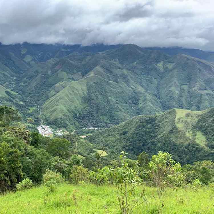 Amazonasgebiet in Peru, in dem die FInca Grandez liegt