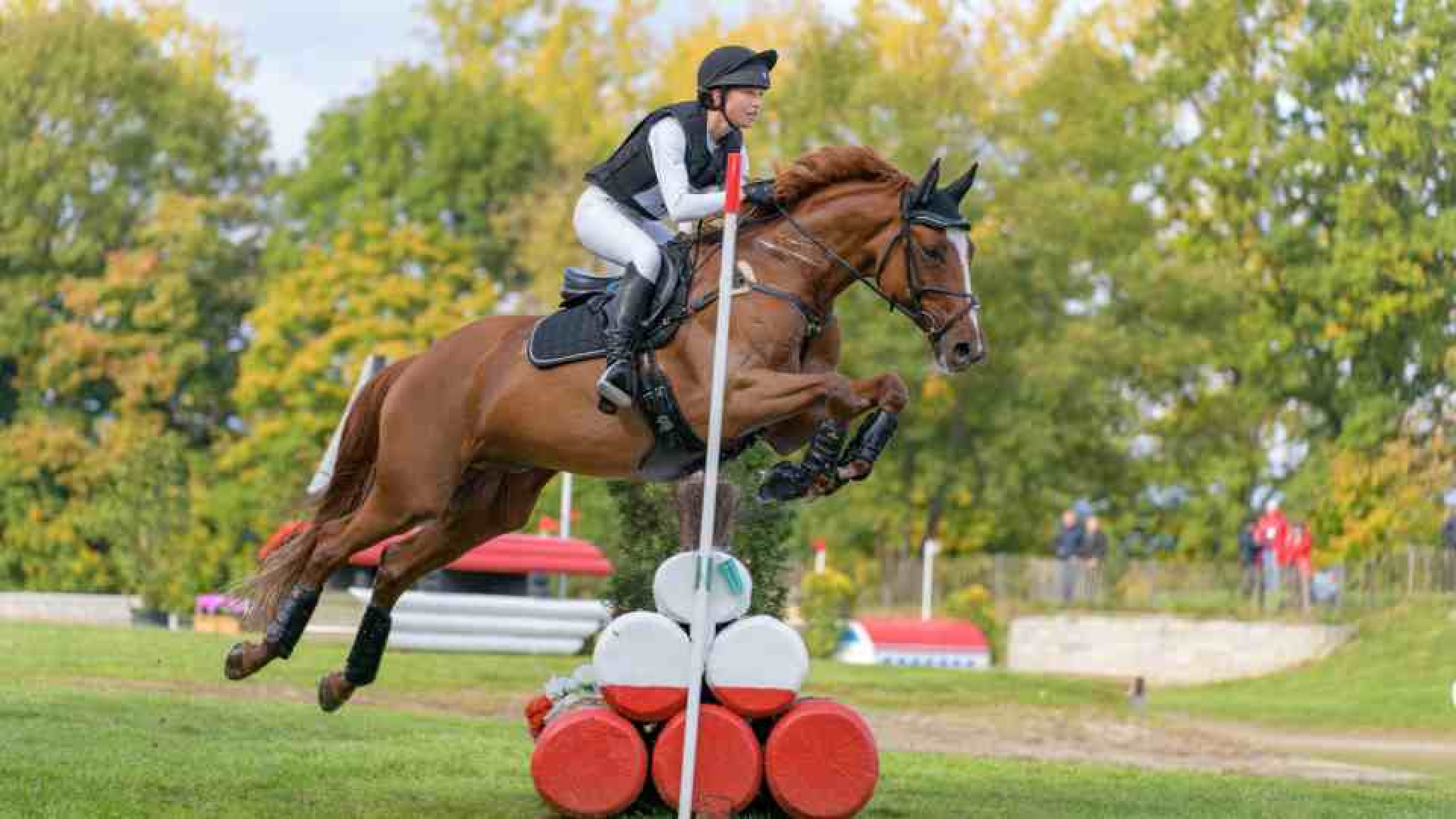 Nachhaltigkeit für den Reitsport: ISM-Praxisprojekt mit dem LONGINES BALVE OPTIMUM 